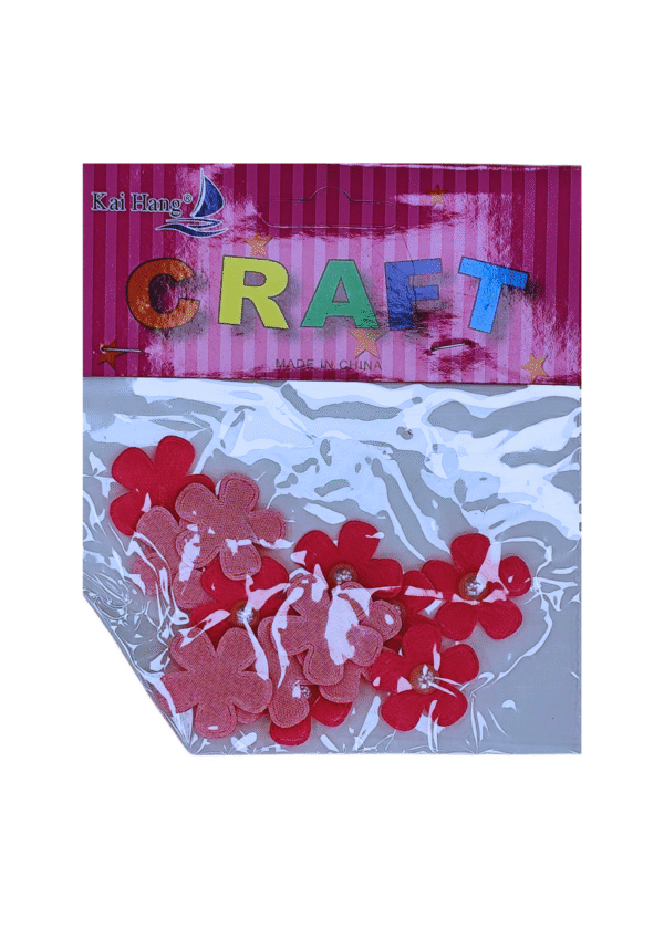 ⁦CRAFT⁩ - الصورة ⁦1⁩