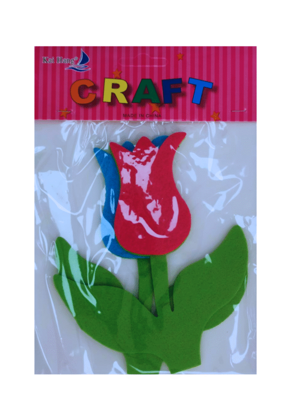 ⁦CRAFT⁩ - الصورة ⁦1⁩